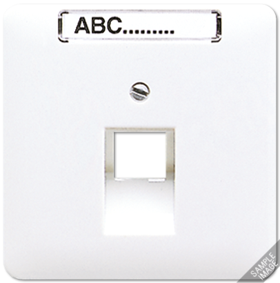 JUNG CD 500/CD plus Бежевая Накладка 1-ой наклонной ТЛФ/комп розетки с полем для надписи 569-1NAUA