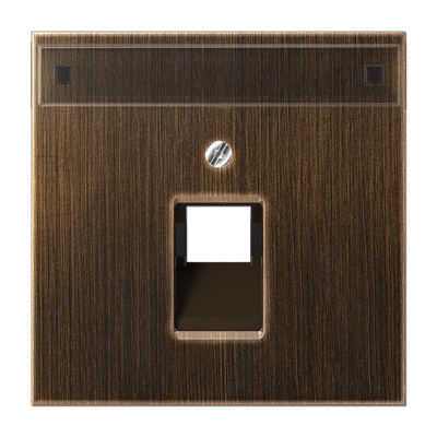 JUNG крышка для модульных разъемов, латунь Antik ME2969-1NAUAAT