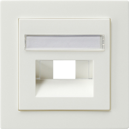 Gira Накладка 50*50 мм для розеток UAE/IAE с полем для надписи 028440