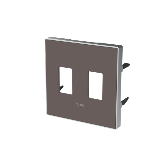 Купить ABB SKY Тауп Накладка для механизма 2хUSB зарядного устройства 2CLA858530A6301