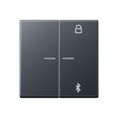 JUNG Таймер универсальный Bluetooth, матовый антрацит A1751BFBTANM