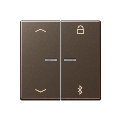 JUNG Таймер универсальный Bluetooth «стрелки», мокко A1751PBTMO