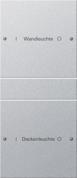 Gira Набор клавиш 2-местный (1+1),  ГРАВИРОВКА 220226