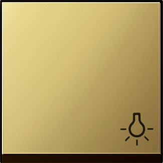 Gira Клавиша с пиктограммой "свет" 0285604