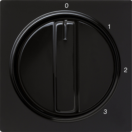 Gira Накладка с ручкой для трехступенчатого переключателя 066947