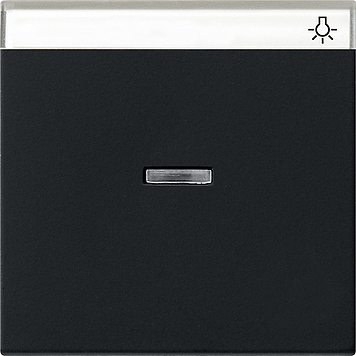 Gira Одинарная клавиша с полем для надписи и подсветкой 0670005