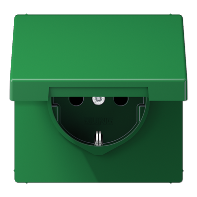 JUNG SCHUKO розетка с защитой от детей и крышкой, зеленый LS1520BFKIKLGN