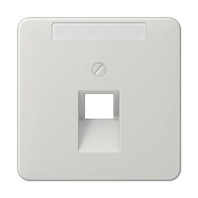 JUNG CD 500/CD plus Светло-серая Накладка 1-ой наклонной ТЛФ/комп розетки с полем для надписи CD569-1NAUALG