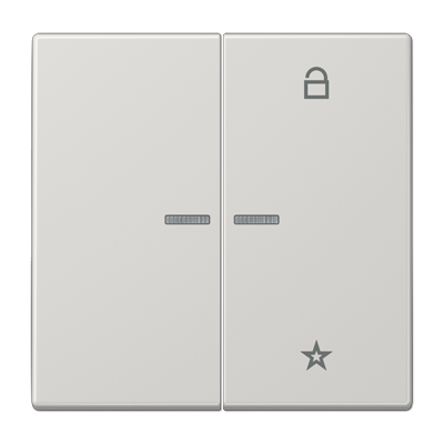 JUNG Центральная плата универсальная, светло-серый LS1701LG