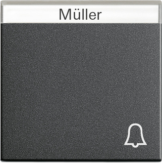 Gira S-55 Антрацит Клавиша с полем для надписи и символом звонок 067328