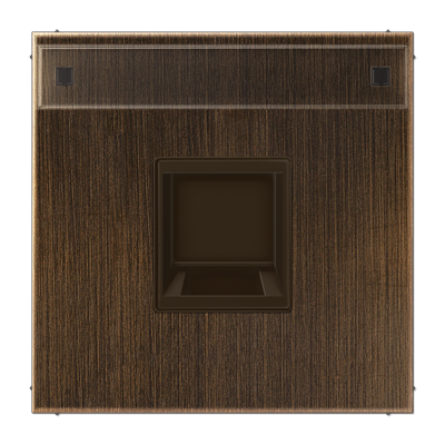 JUNG Плата (фиксация защёлкиванием) для одного модуля с полем для надписи металл латунь Antik ME1969-1NAWEAT