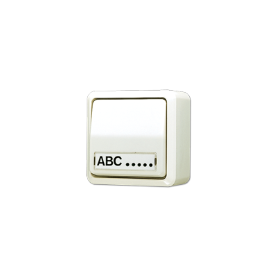 JUNG Выключатель 10 AX 250 V ~ для накладного монтажа, с полем для надписи слоновая кость 606ANA