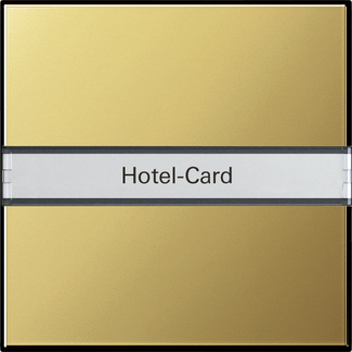 Gira Карточный выключатель с полем для надписи 0140604