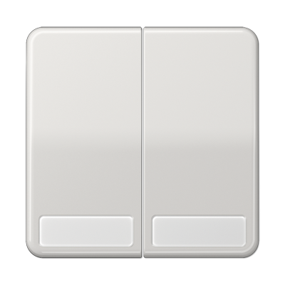 JUNG CD 500/CD plus Светло-серая Клавиша 2-ая с полем для надписи CD595NALG