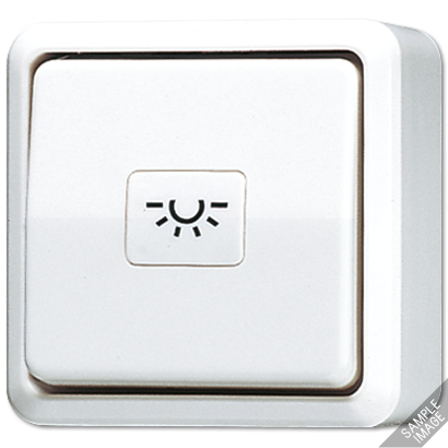 JUNG Кнопка 10A 250V ~  для накладного монтажа, слоновая кость 634A