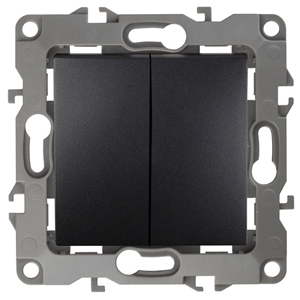 ЭРА 12-1004-05 Выключатель двойной, 10АХ-250В, IP20, без м.лапок, 12, Антрацит