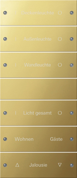 Купить Gira Instabus Комплект клавиш 6 шт., гравировка 2136608