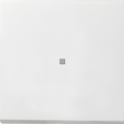 Gira Выключатель с клавишей 2-полюсный с окошком 0122112