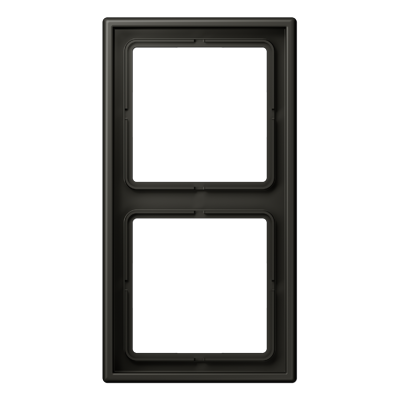 JUNG LS 990 Ombre naturelle 59(4320R) Рамка 2-ая LC9824320R