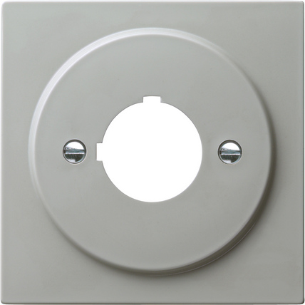 Gira Накладка с опорным кольцом для установки устр-в управления и оповещения с ǿ 22,5 мм 027242