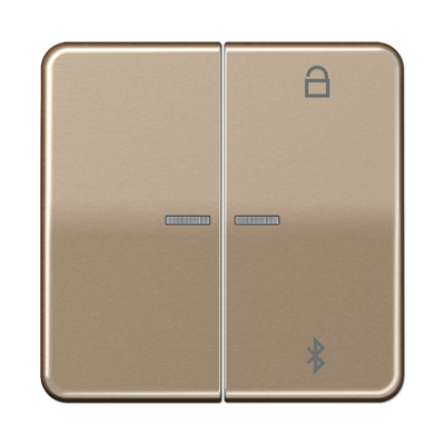 JUNG Таймер универсальный Bluetooth, золотая бронза CD1751BTGB