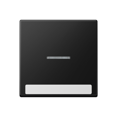 JUNG Клавиша с полем для надписи, матовый чёрный графит A590BFNAKO5SWM