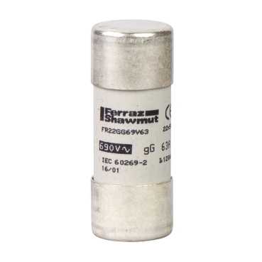 Купить SE Предохранитель тип GG, размер 22х58.100А DF2FN100