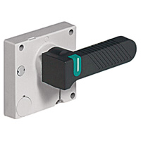 Купить Legrand Стандартная поворотная рукоятка установка непосредственно на DPX 630 чёрная 026241