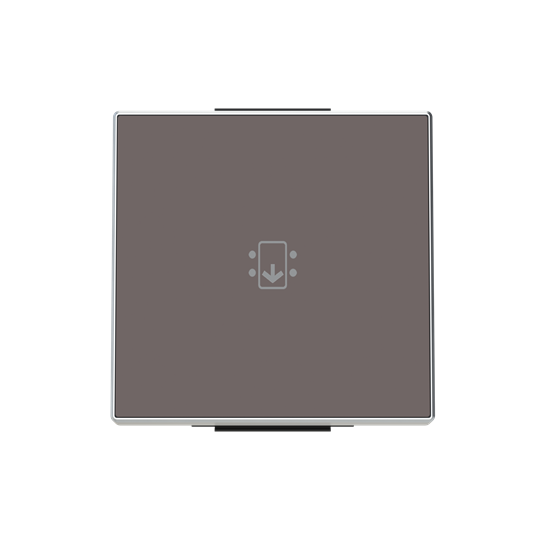 ABB SKY Тауп Накладка для механизма карточного выключателя с линзой подсветки и маркировкой 2CLA851400A6301