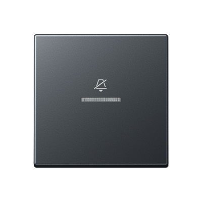 JUNG Двойная клавиша на гостиничный выключатель, комнатный модуль, матовый антрацит ARUKO5DANM