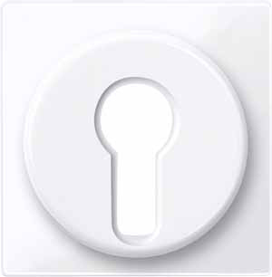 Купить SE Merten SM Бел Актив Центральная плата для переключателя с фиксатором пложения (MTN319525)