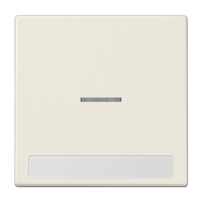 JUNG Клавиша для  выключателя с подсветкой и полем для надписи слоновая кость LS990NAKO5