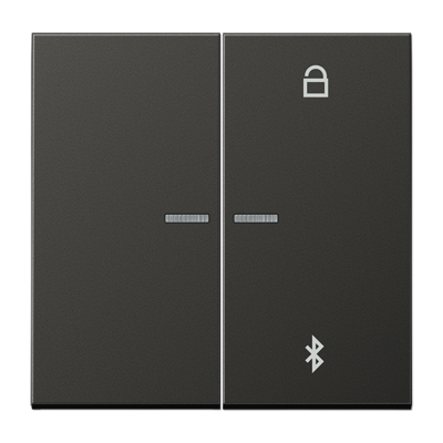 JUNG Таймер универсальный Bluetooth, антрацит AL1751BTAN