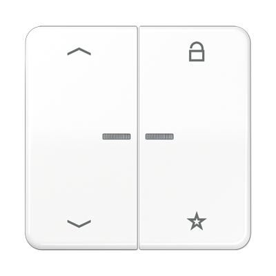 JUNG Центральная плата для вставок управления двигателями, белый CD1701PWW