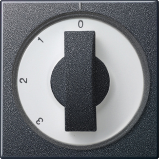 Gira Накладка с ручкой для трехступенчатого переключателя 066928