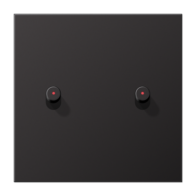 JUNG Центральная плата, 1 пост, 2 тумблера, цилиндр c окошком металл Dark серия LS AL12-5KODR01