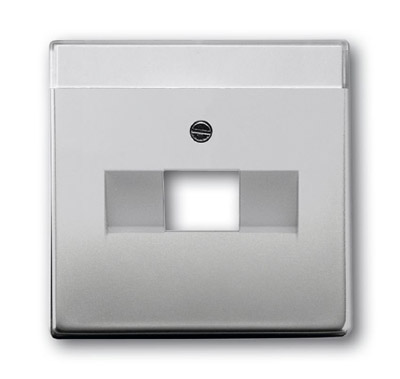 ABB BJE Сталь Накладка 1-й ТЛФ/Комп розетки наклонной (мех 213/16) 2CKA001710A3763