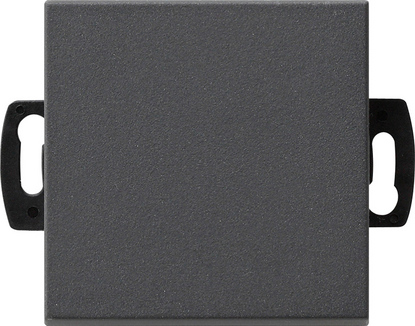 Gira Кнопочный выключатель для малого напряжения до 42 В 013828