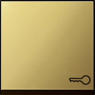 Gira Клавиша с пиктограммой "ключ" 0287604