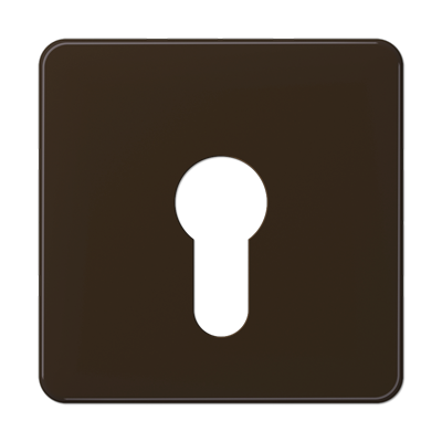 JUNG центральная плата для вставки с ключом, коричневый CD525BR