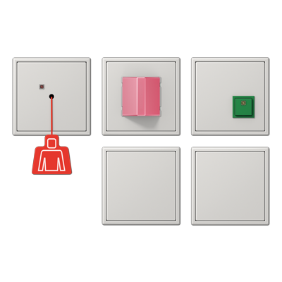 JUNG Аварийная система с ИБП, светло-серый NRSLS0834-2LG