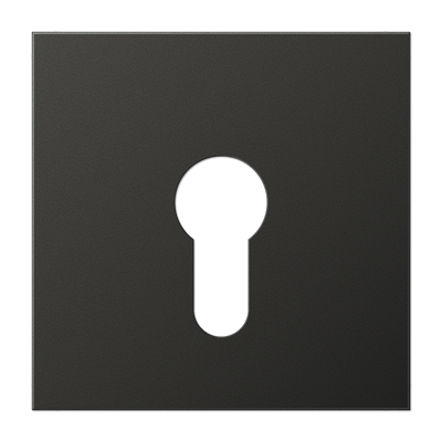 JUNG Крышка для выключателя с замком антрацит AL2925AN