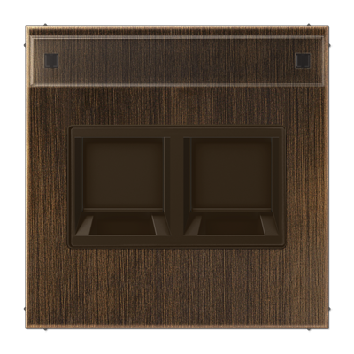 JUNG Плата (фиксация защёлкиванием) для одного модуля с полем для надписи металл латунь Antik ME1969-2NAWEAT