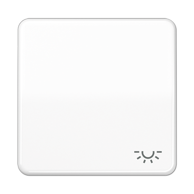 JUNG CD 500/CD plus Белая Клавиша 1-ая с символом ОСВЕЩЕНИЕ CD590LWW