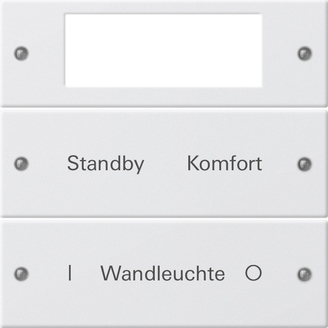 Gira Instabus System 55 Гравировка Набор клавиш 2-местн.Plus 221203