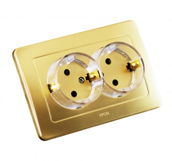 Hegel Мастер внутр Золото РС16-381-07 Розетка с/з двойная