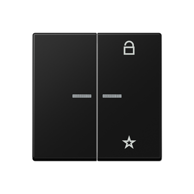 JUNG A Flow/A 550 Черный матовый Центральная плата универсальная A1701BFSWM