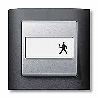 Купить SE Merten SM Антрацит Клавиша 1-ая с полем для надписи MTN433314