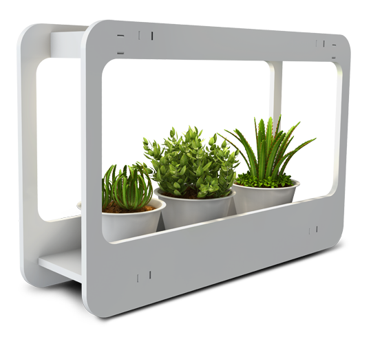 Jazzway Cветодиодная подставка PMG 002 LED 14W 4000K (подставка для цветов) .5009554