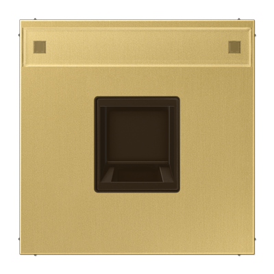 JUNG Плата (фиксация защёлкиванием) для одного модуля с полем для надписи металл латунь Classic ME1969-1NAWEC